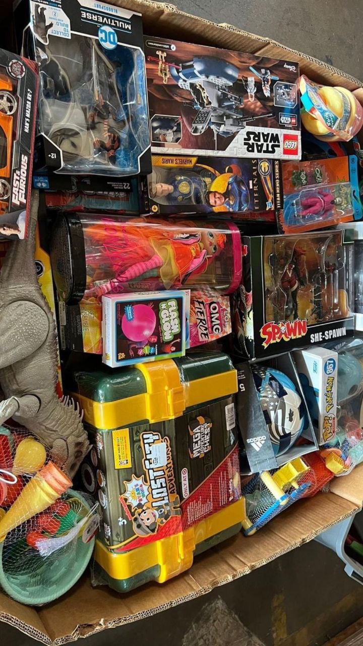 TOYS PALLET – LOT ID: 241101 – Untested Customer Return